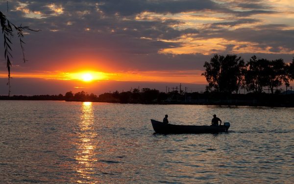 Britanici, atrași de artă: Un „studio plutitor” vrea să cucerească tinerii