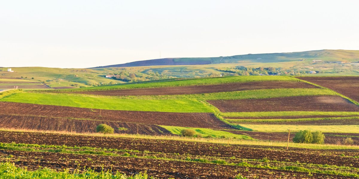 Arenda 2026: Ce drepturi și obligații au fermierii și proprietarii de teren