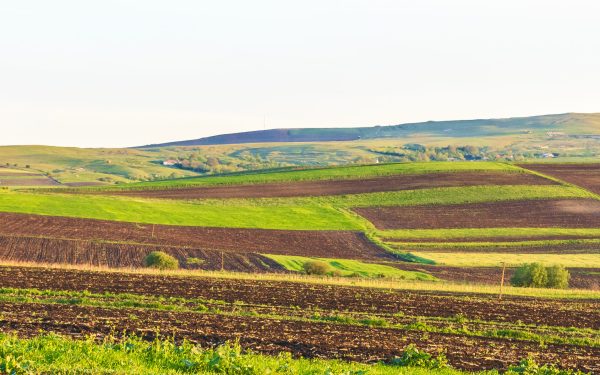 Arenda 2026: Ce drepturi și obligații au fermierii și proprietarii de teren