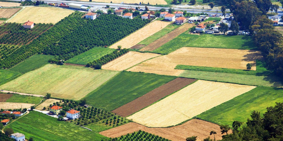 Vrei teren în 2026? Documentele CRUCIALE pentru cumpărare, pas cu pas