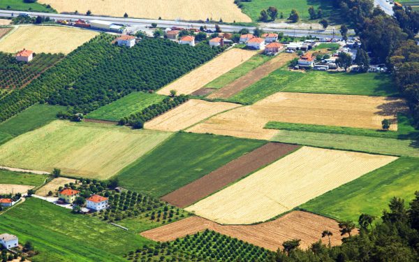 Vrei teren în 2026? Documentele CRUCIALE pentru cumpărare, pas cu pas