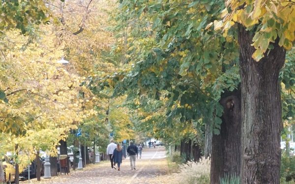 Declic, revoltă după ce parcul din Sectorul 4 primește numele Donald Trump