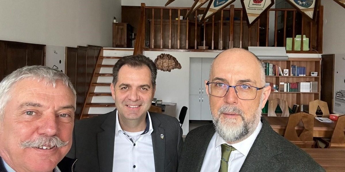 Antal Arpad: Kelemen Hunor nu va demisiona. Doar dacă maghiarii ar fi votat altfel