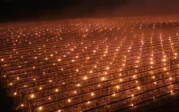 Foc pentru cireși: Fermierul din Cluj a ars 40.000 € ca să scape pomii de ger