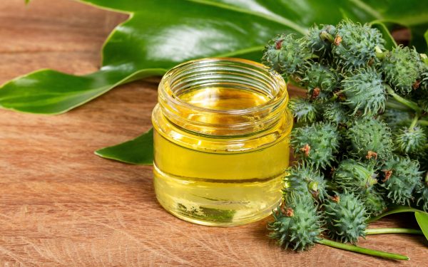 Uleiul de ricin: Adevărul științific despre beneficiile sale, pus sub lupă