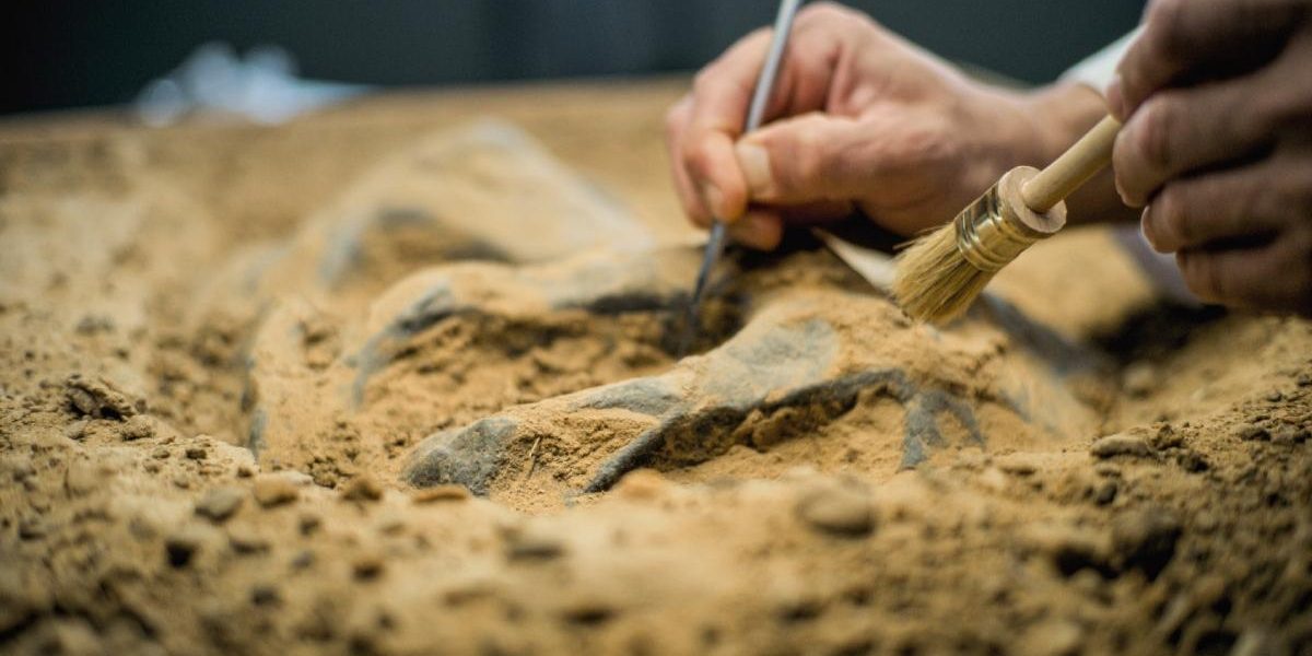 Mormânt EGIPTAN vechi de 2.000 de ani: Mumii cu limbi de AUR și artefacte rare