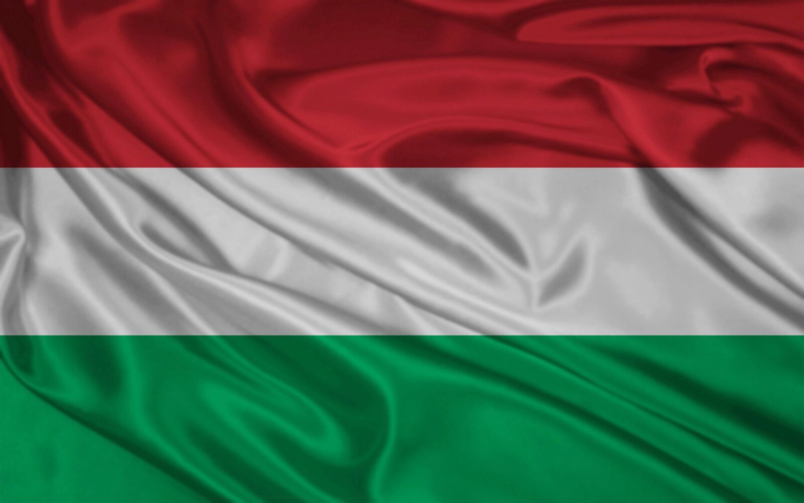 Reacții dure după alegeri în Ungaria: Ce spune comunitatea internațională?