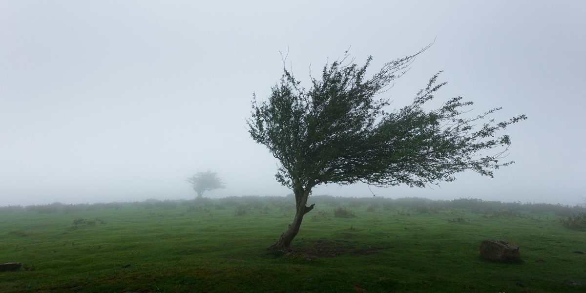 Alertă meteo: Cod galben de vreme rea vineri și sâmbătă în România