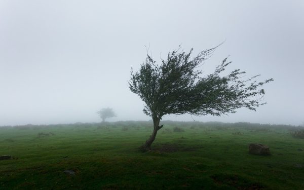 Alertă meteo: Cod galben de vreme rea vineri și sâmbătă în România