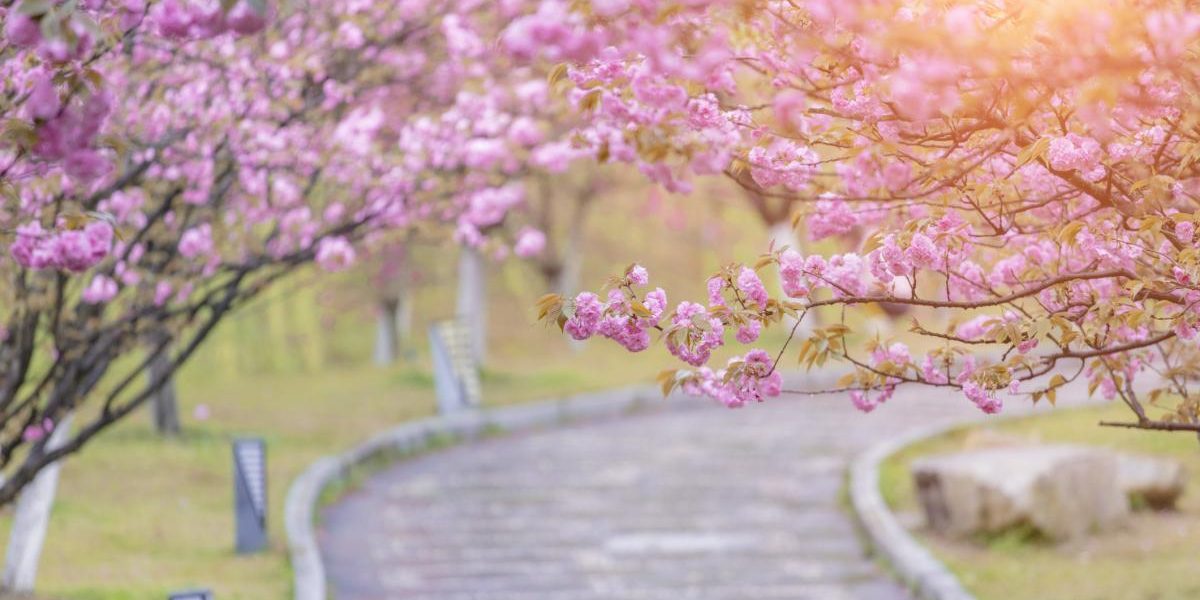 Ger de Înviere în România: ANM anunță -5 grade în unele zone de Paște