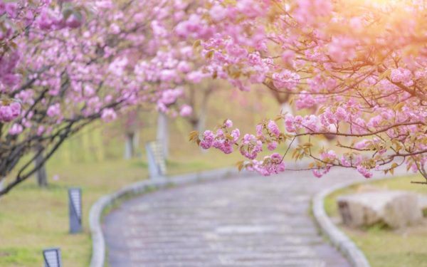 Ger de Înviere în România: ANM anunță -5 grade în unele zone de Paște