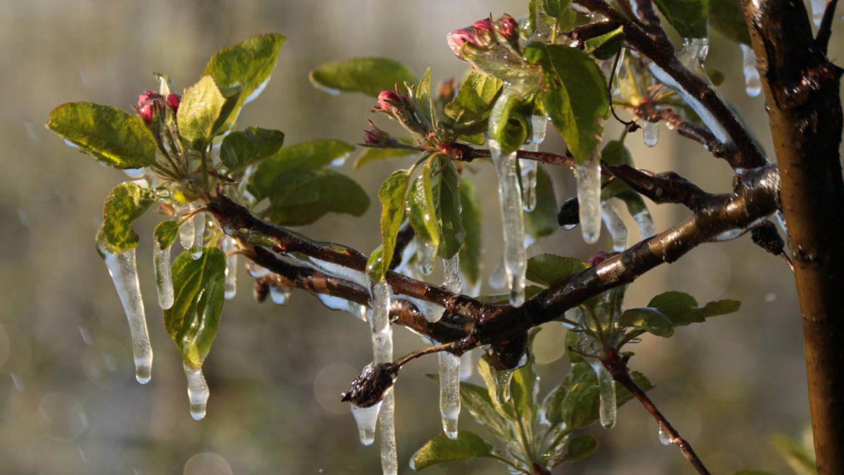 Vremea se schimbă radical în România începând de joi, când temperaturile scad semnificativ, iar condițiile meteorologice devin mai instabile