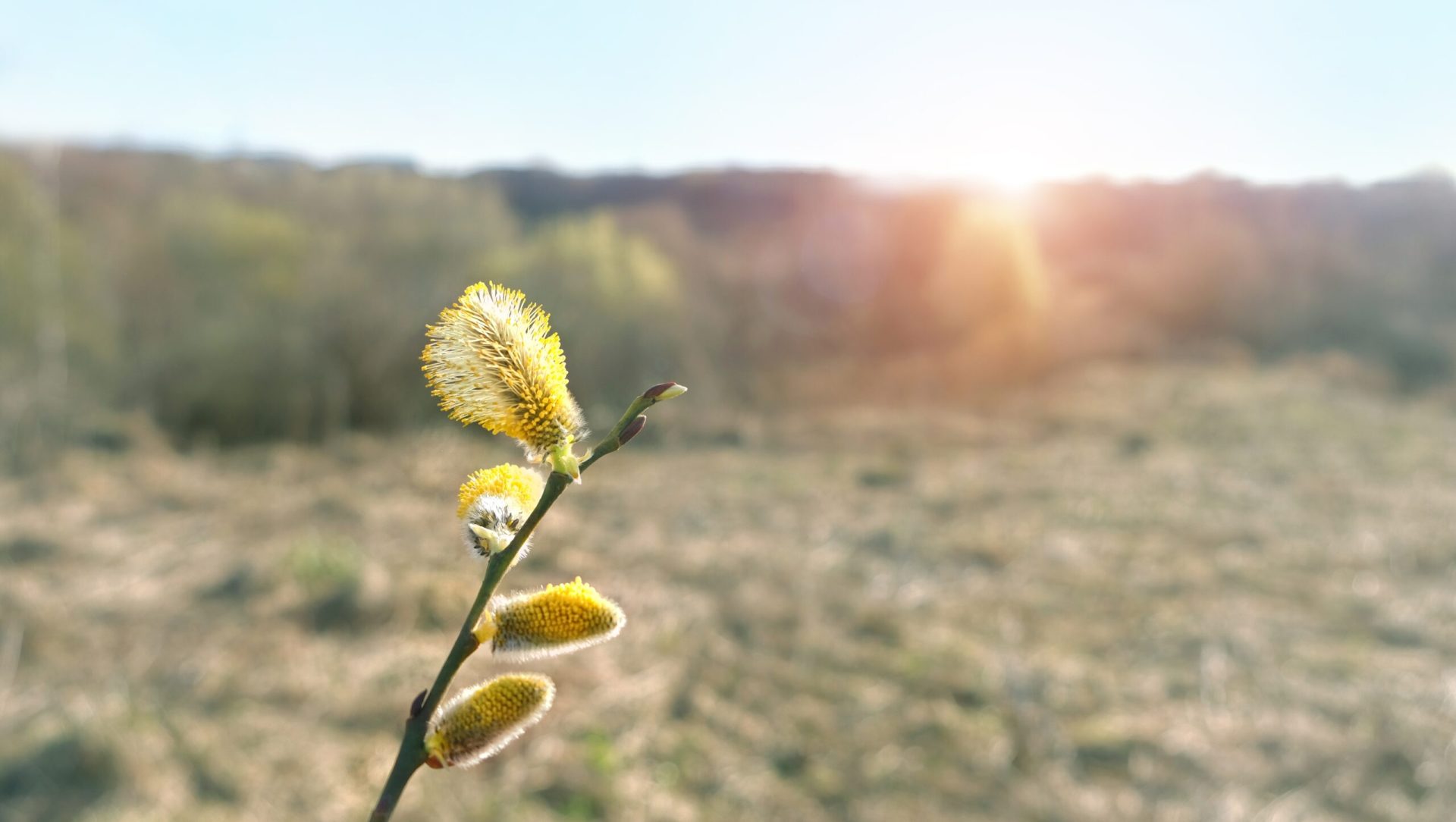 Vremea se va răci semnificativ din această săptămână, aducând temperaturi minime care pot ajunge chiar și la -7 grade Celsius, potrivit prognozei pentru următoarele două săptămâni