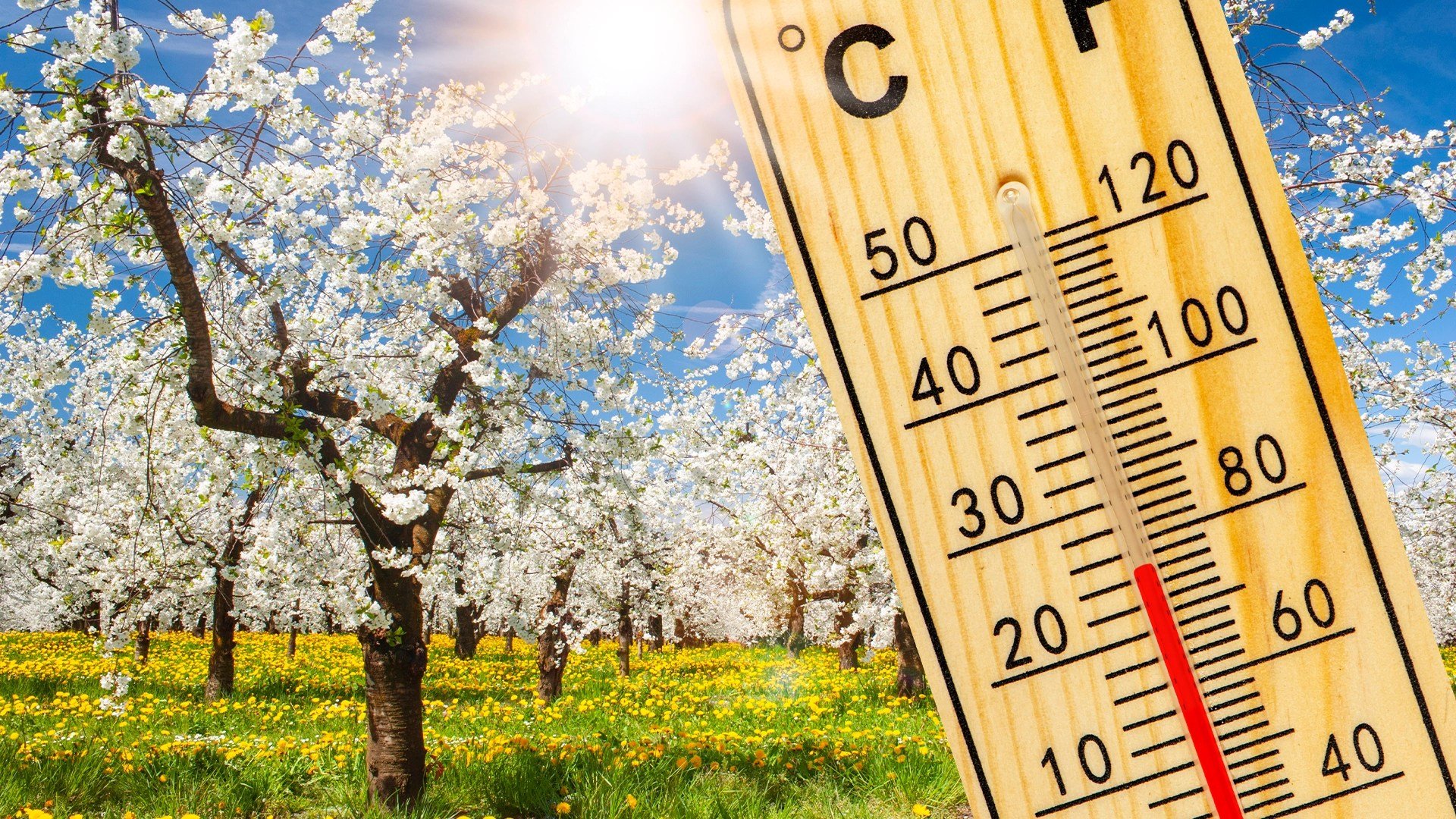 Vremea de Paște se anunță schimbătoare și capricioasă în majoritatea regiunilor țării, potrivit prognozei emise de Administrația Națională de Meteorologie (ANM)