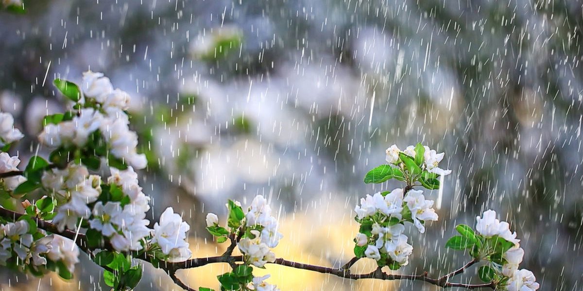 Meteorologii anunță: 1 Mai cu frig și ploi în România