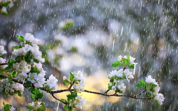 Meteorologii anunță: 1 Mai cu frig și ploi în România