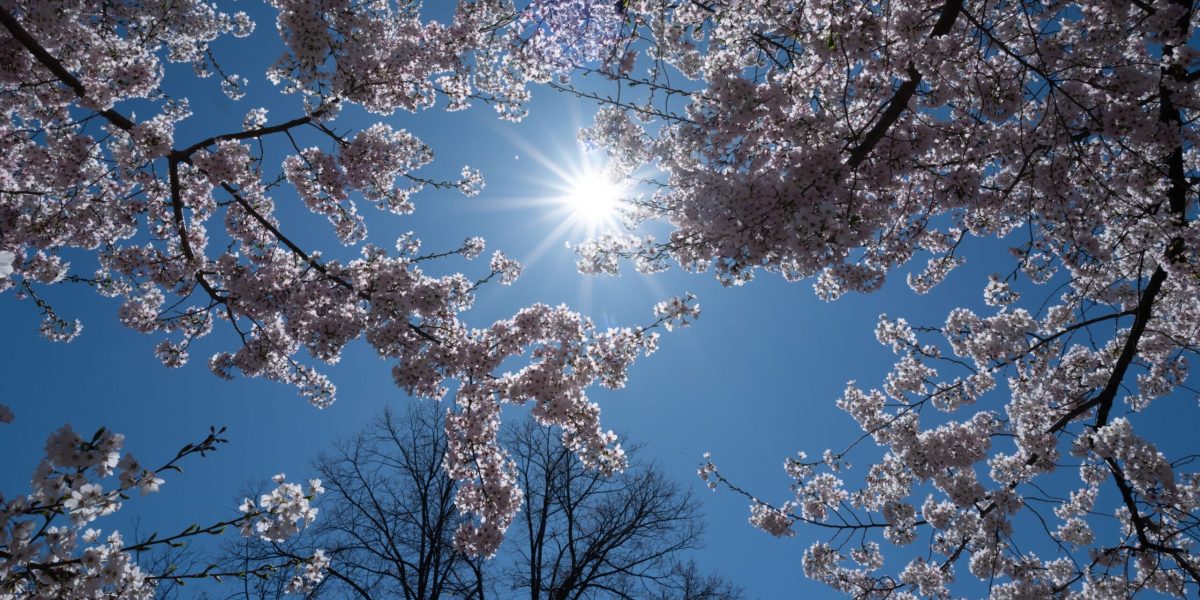 Vremea de 1 Mai: Meteorologii, anunțuri despre temperaturi și precipitații