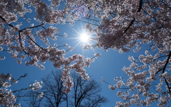 Vremea de 1 Mai: Meteorologii, anunțuri despre temperaturi și precipitații