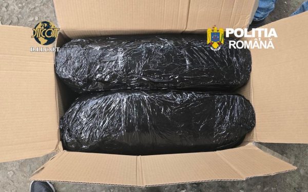 Captură record la Târgu Mureș: 13 kilograme de canabis aduse din Spania