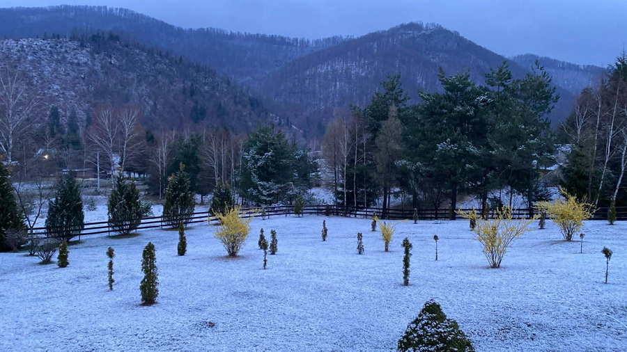 Zăpada mieilor în județul Bihor: Ninsoare neașteptată înainte de Paște