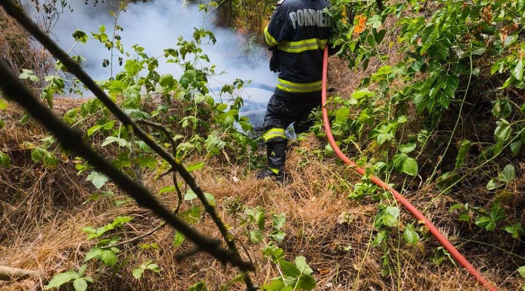 Incendiul din Caraș-Severin: Un nou focar mistuie pădurea