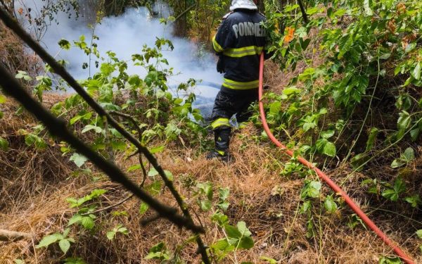 Incendiul din Caraș-Severin: Un nou focar mistuie pădurea