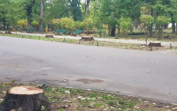 Bucureștenii decid viitorul Parcului Herăstrău: Cum vrei să arate, după restaurare?