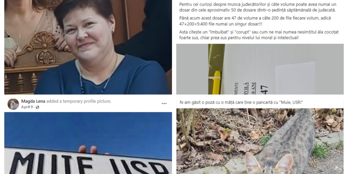 Judecătoare, ieșiri șocante: Bolojan, „nesimțit”, USR, „muie”!