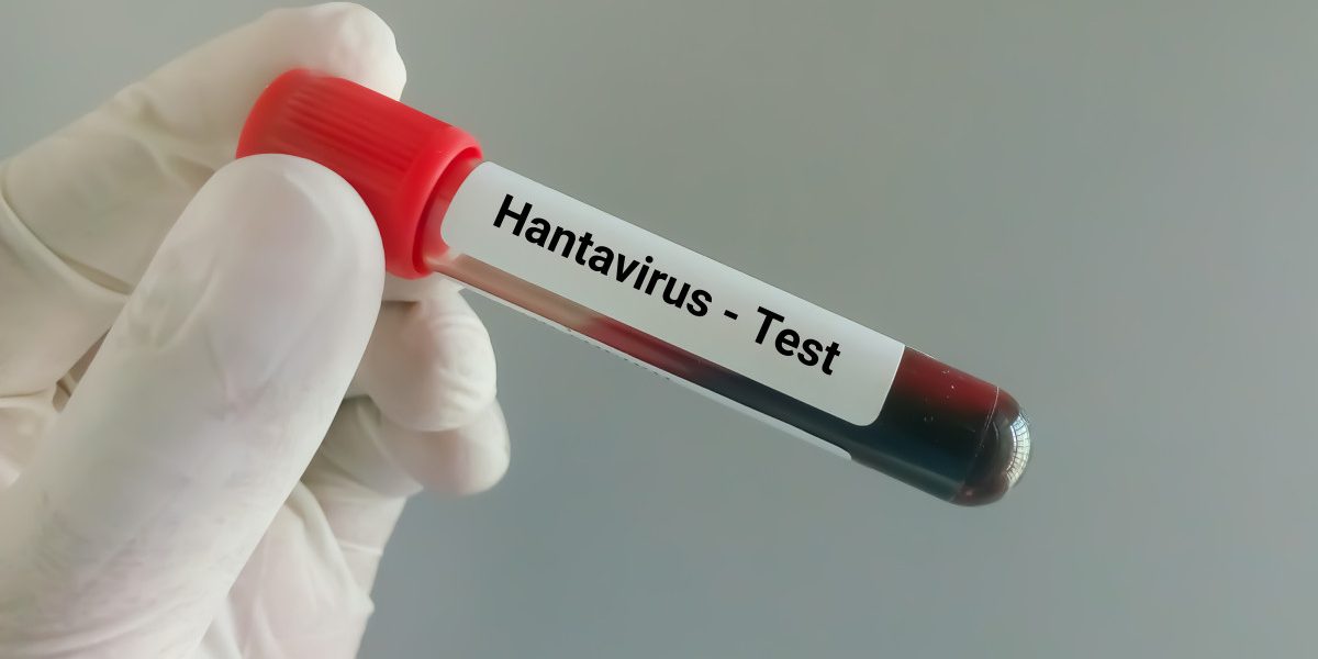 Hantavirus ucigător pe o navă: Ce riscuri sunt în România după decese