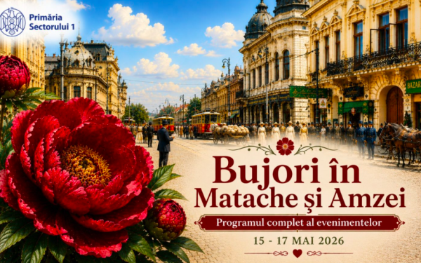 Bujori, flori și evenimente: Festivalul în piețele Matache și Amzei