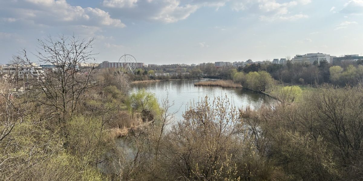 Ateliere, tururi urbane și biodiversitate: Capitala sărbătorește natura!