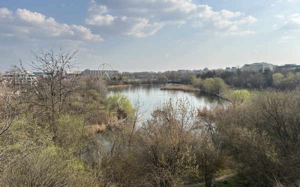Ateliere, tururi urbane și biodiversitate: Capitala sărbătorește natura!