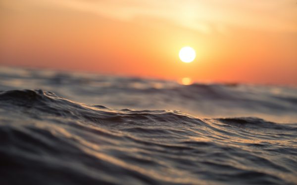 Oceane, tot mai fierbinți: temperaturi aproape de record, avertisment crucial