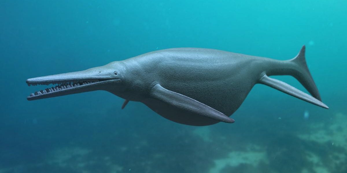 Fosilă MONSTRUOASĂ, veche de 180 milioane ani, descoperită în Germania