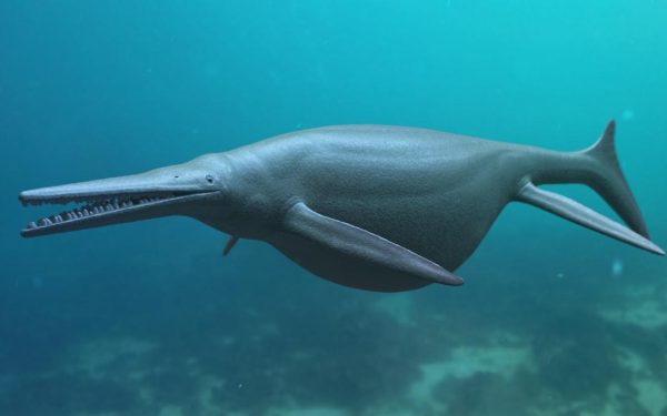Fosilă MONSTRUOASĂ, veche de 180 milioane ani, descoperită în Germania