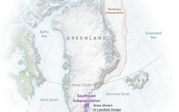Trump trimite un emisar în Groenlanda: Mize uriașe pentru teritoriul arctic