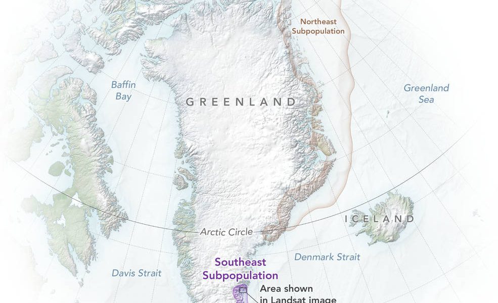Trump trimite un emisar în Groenlanda: Mize uriașe pentru teritoriul arctic
