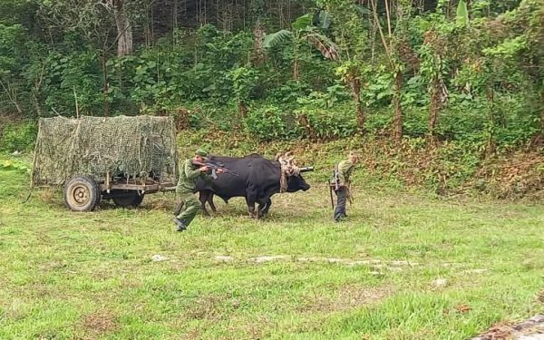 Cuba se-nvecinează cu invazia SUA: Ce ascunde insula în arsenal