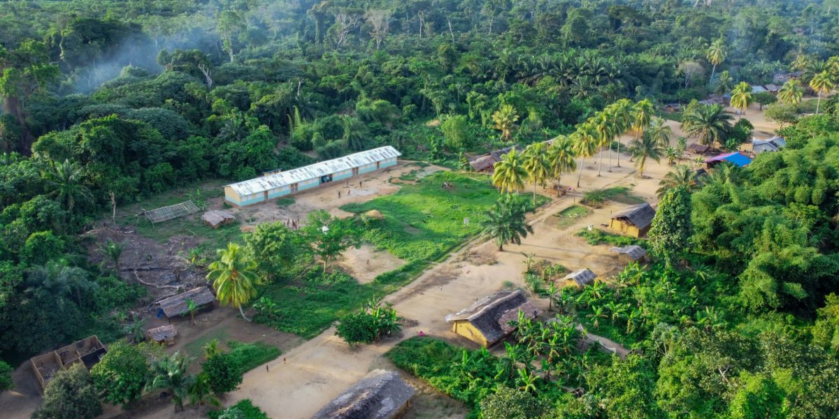 Ebola și smartphone-ul tău: boala defrișărilor