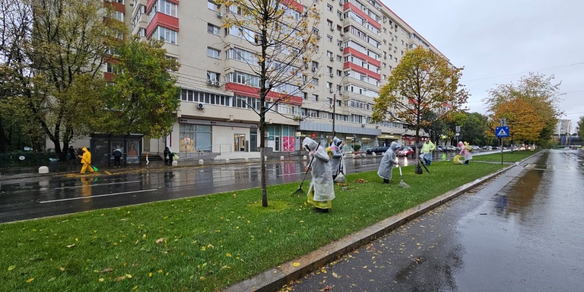 București: Un miliard euro tocat pe iarbă și copaci