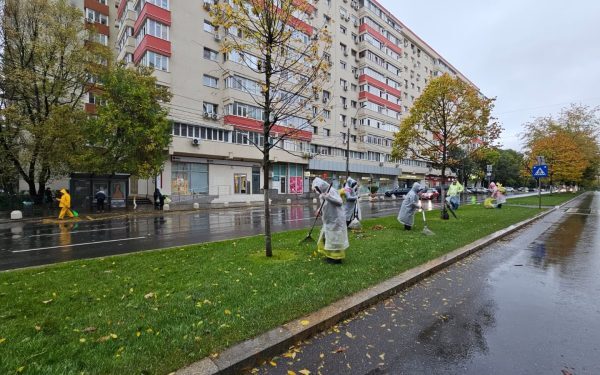 București: Un miliard euro tocat pe iarbă și copaci