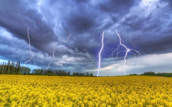 Alertă meteo: Val de viscol după canicula cumplită în Ucraina