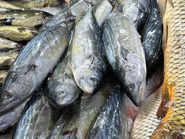 Botoșani: Fermier piscicol, sufocat de peștele din import. Fără desfacere