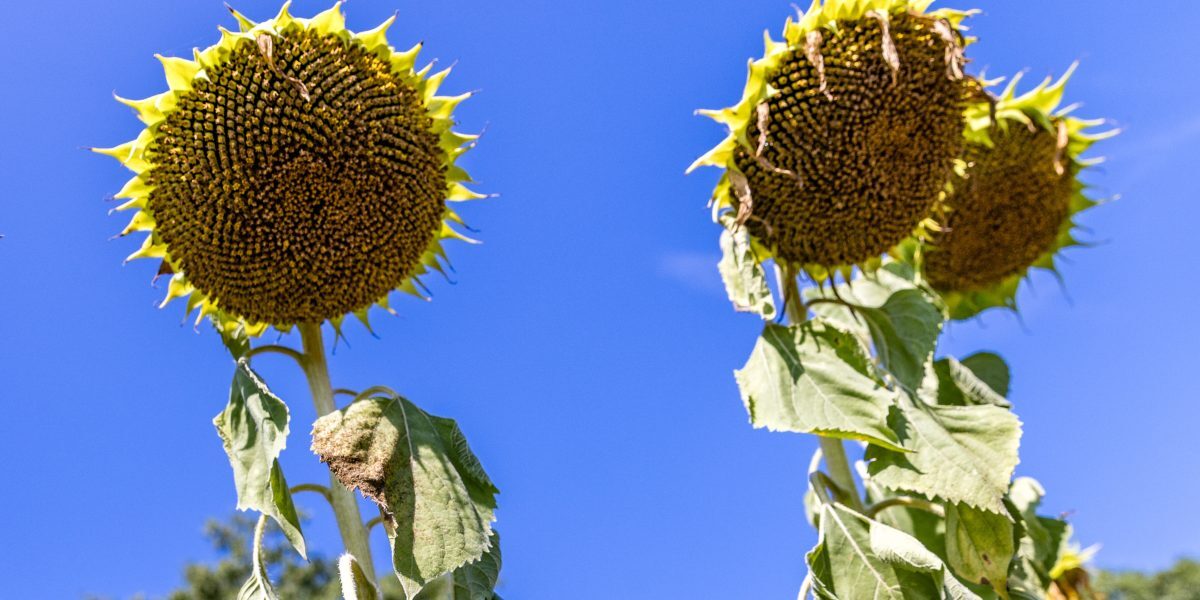 Prognoza Meteo: Vremea în România în weekend