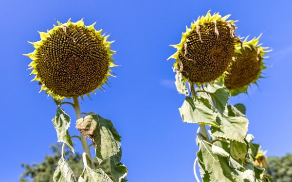 Prognoza Meteo: Vremea în România în weekend