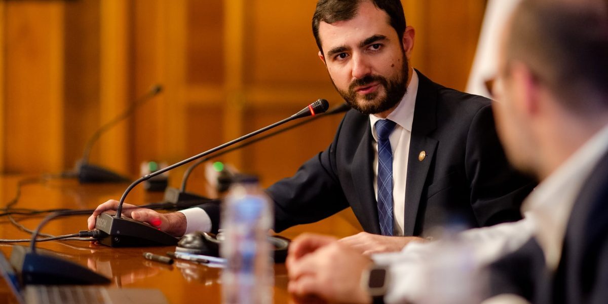 ANI: Lege dezastru, atac la CCR. De ce a votat pentru?