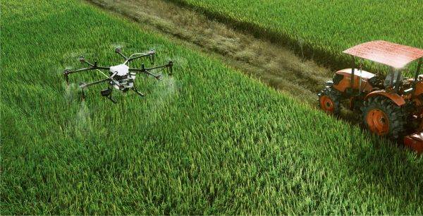 Agricultura pe profit: Când recolta nu mai e loterie