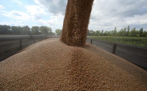 Ucraina și Moldova: Rută nouă de cereale pe calea ferată