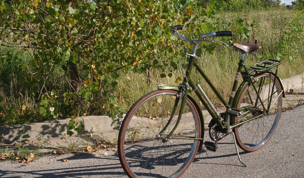 Raleigh, gigantul bicicletelor, în faliment!