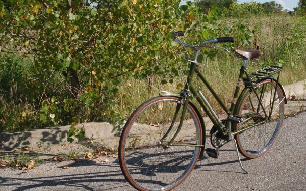 Raleigh, gigantul bicicletelor, în faliment!
